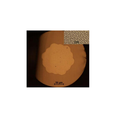 190～1250nm (UV) 300～2400nm (IR) イメージングファイバー ファイバー マルチコア: 3000～100000 開口数 (NA): >0.5